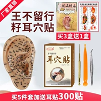 Плач залавки с ушной ухой король не покидает семена, нажимайте на ушную акупунту и наклейку на акупунту с фасоль