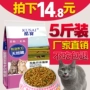Thức ăn tự nhiên cho mèo thức ăn cho mèo Thức ăn cho mèo Thức ăn chính 2.5kg5 kg Thức ăn cho mèo ăn cá hồi thức ăn cho mèo catsrang