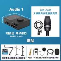 Audio1+ C3000 Полный набор подарков