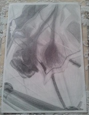 Контурный рисунок 323★32号中央美院孙中师？作品 素描 尺寸38x26cm★