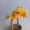 Orange Cosmos chi nhánh dài chọn mô phỏng cao hoa cúc lụa hoa bó hoa cưới đường hoa dẫn đường cắm hoa - Hoa nhân tạo / Cây / Trái cây cây nhựa trang trí