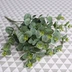 Mô phỏng cây bạch đàn lá tiền 64 lá cảm thấy vải màu xanh lá cây đám cưới lá xanh tay hoa cưới - Hoa nhân tạo / Cây / Trái cây cây hoa giả để phòng khách Hoa nhân tạo / Cây / Trái cây