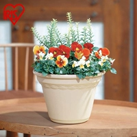 Цветочный горшок Colly Flower Pot Series 4-5-6-7-9 -10 -12