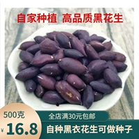 Селенарахийские черные арахис, рисовая фермерская сельскохозяйственная сельскохозяйственная фанати