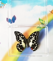 Лимонно-желтый