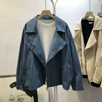 Весенний плащ с молнией, куртка, 2019, в корейском стиле, оверсайз, в западном стиле