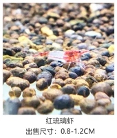 Красные остекления 20 Получите 5 свободных потерь