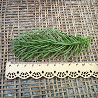 Двойной зеленый железный лист