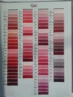 E True Line Color Card Standar