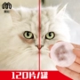 Mengshe thú cưng lau mèo Teddy mèo với nước mắt chó lau mông - Cat / Dog Beauty & Cleaning Supplies lược chải lông mèo