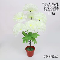 Маленькая хризантема ставит белый (2 ветви)
