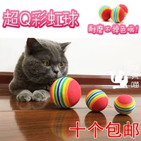 Радужная разноцветная игрушка, кот, домашний питомец