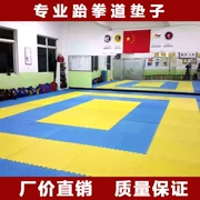 Taekwondo mat chuyên nghiệp bọt mat 1 m dày cao 2.5 3.0 võ thuật chiến đấu đào tạo mat