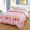 Chăn bông flamingo đơn mảnh 1,5 1,8 m giường sinh viên đơn 100% cotton chăn đôi 200x230 - Quilt Covers