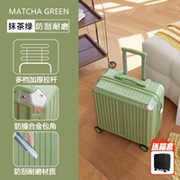 Matcha Green/ Model