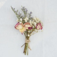 Xiaohua 24