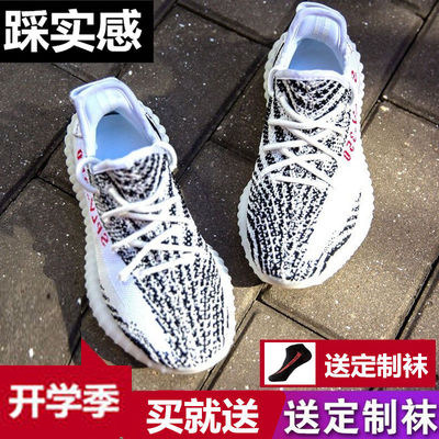 (v2) White Zebra