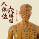 Силиконовое иглоукалывание, физиологичная медицинская кукла, манекен головы