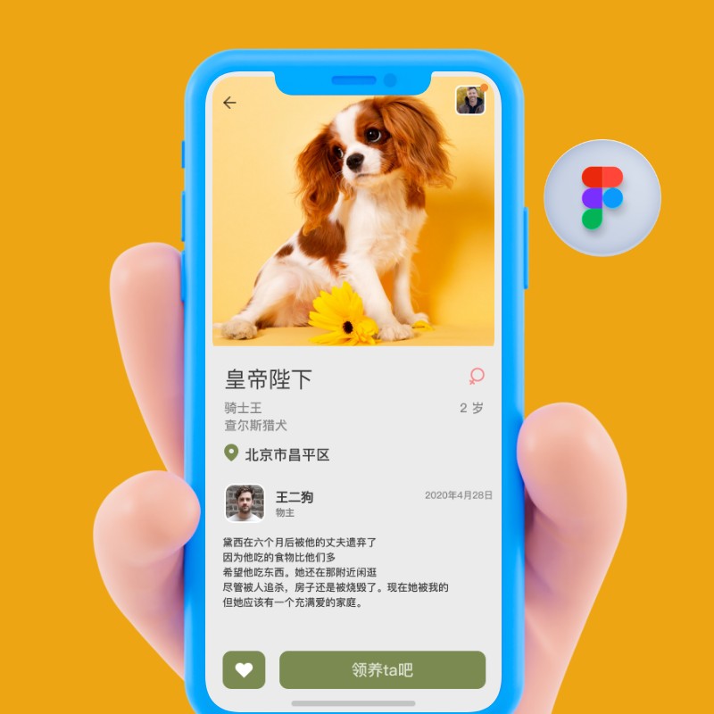 宠物领养社交中文APP小程序手机界面UI设计作品Sketch素材xd模板