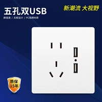[Simplic White] пять -отверстие для двойного USB