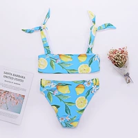 2019 mẫu mới bùng nổ của châu Âu và Mỹ ống bikini hàng đầu in bikini chia nhỏ nữ nhỏ tươi mát bãi biển gợi cảm - Bikinis bikini gợi cảm