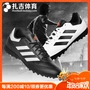 Zaji Sports Adidas Adidas đội TF người cỏ gãy móng giày bóng đá nam AQ4299 BB0561 giày lười thể thao nam