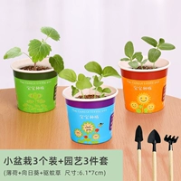 Летний маленький горшок, 3 шт