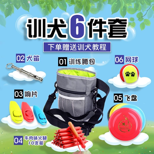 Поясная сумка для тренировок, ниблер, дорожное снаряжение для выхода на улицу, комплект, домашний питомец