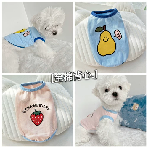 Фруктовые весна и лето притворяются хлопком -янти -хар