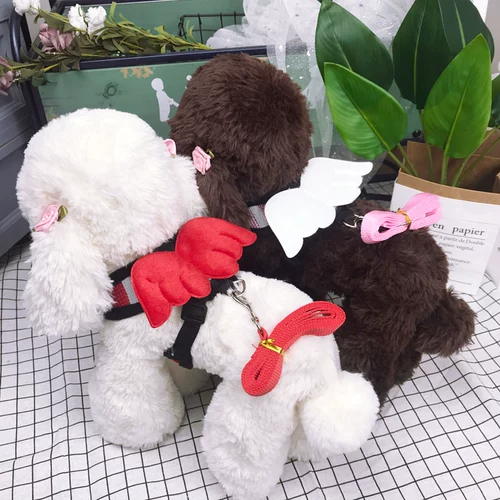 Дроящая веревка для собак Небольшая средняя жилетка для собак Ходьба для собак веревка Ангел крылопроницаемые крыло быки с бычьей борьбой с питомником