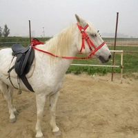 Ma Thủy Lê cưỡi ngựa thể thao nước reins thép không gỉ ngựa nhai armature horse riding halter miệng trang phục cưỡi ngựa