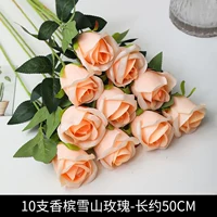 10 чемпионка снежной горы Розы