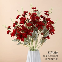 5 ветвей красных цветов красные