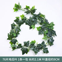 76 листьев листьев сладкого картофеля 1 упаковка [1 упаковка]