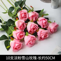 10 бледно-розовых снежных горных роз