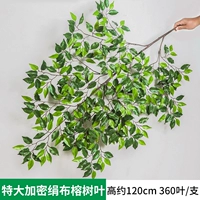 Флуоресцентный зеленый