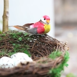 Teng Editor Simulation Bird Gont, травяной гнездо клетки Decorative Ornament Mori Свадебная стрельба оформление