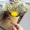 Hoa khô mini bó hoa hình ảnh đạo cụ trang trí hoa thật hoa cúc vĩnh cửu với quà tặng sinh nhật - Trang trí nội thất