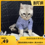 Осенняя тонкая милая рубашка, популярно в интернете