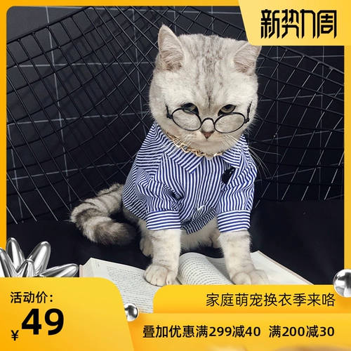 Осенняя тонкая милая рубашка, популярно в интернете