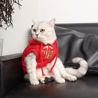 Кошка весна и осенний рукавиц