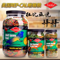 Repcal Feed Feed Feed Feed Lizard Lizard Grain Green Lizhou Gong Gong Jie Horged Mornea Lion Grain вместо Dolibia