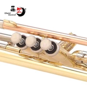 Brass Alto B B ba màu nhỏ nhạc cụ gió phương Tây FTR-700 trẻ em mới bắt đầu chơi