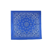 Сокровище синий 【Солнечный цветок】