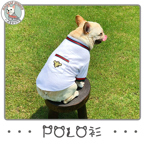 Тонкая летняя одежда, футболка polo, бюстгальтер-топ