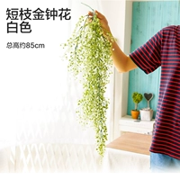 Белый [Короткие ветви Золотой колокол цветок]