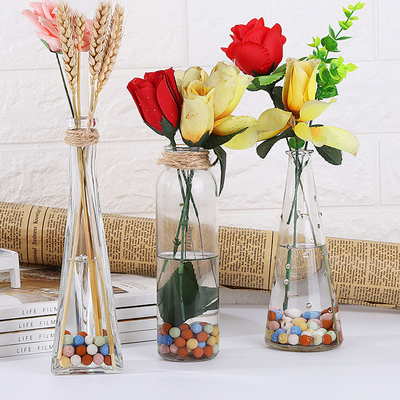 透明玻璃瓶水培植物容器绿萝养花小花瓶干花插花客厅摆件装饰花盆