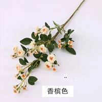 [Цвет шампанского] Aini-Rose