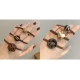 New-Temperament-6 Set