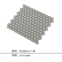 Маленькое гексагональное серое убежище